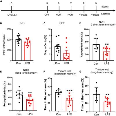 Injection of Anti-proBDNF Attenuates Hippocampal-Dependent Learning and Memory Dysfunction in Mice With Sepsis-Associated Encephalopathy